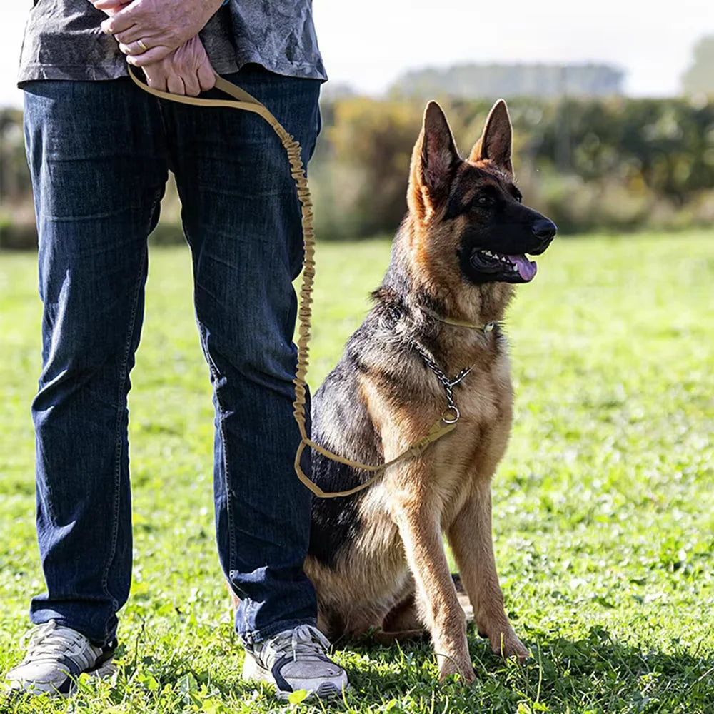 Petavel Adjustable Nylon Dog Leash With Quick Release Dual Handle