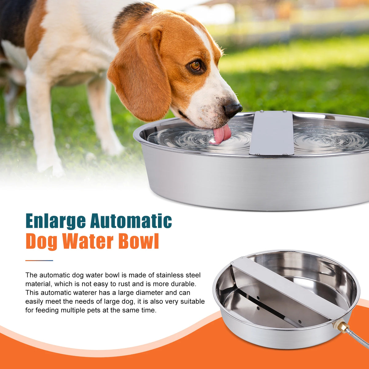 Stainless Steel Automatic Dog Water Dispenser And Hose