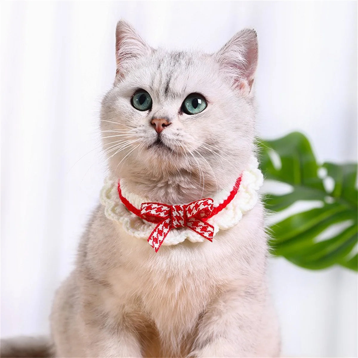 Adjustable Lace Bow Knot Knitted Pet Collar For Cats And Dogs