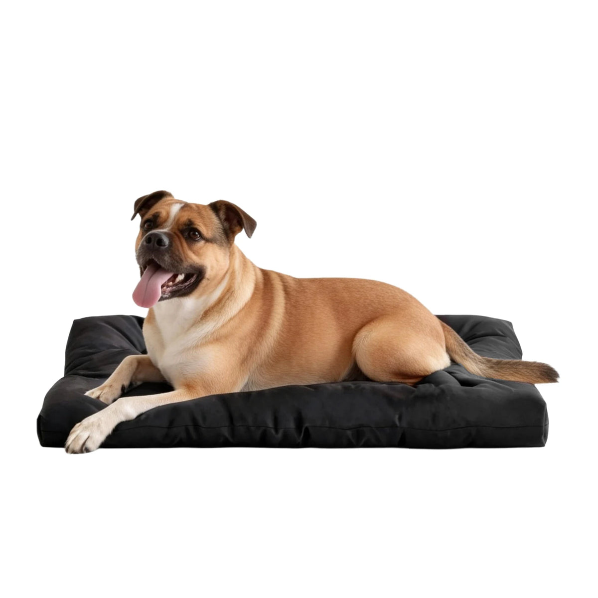 Heavy Duty Chew Proof Dog Bed Durable Waterproof Pet Crate Pad