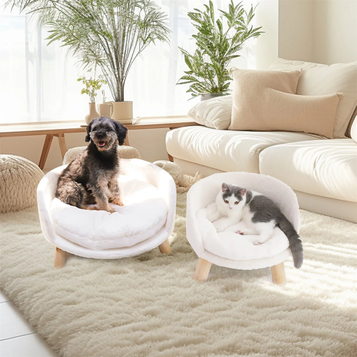 Bingopaw Raised Cat And Dog Sofa Bed With Removable Cushion